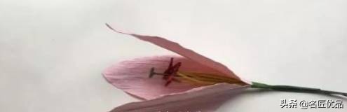 母亲节礼物九块钱的花,母亲节礼物该送什么花好