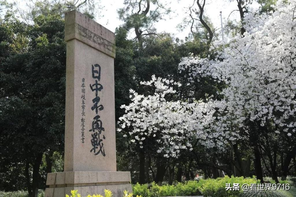 杭州西湖柳浪闻莺图片,杭州西湖风景名胜区柳浪闻莺