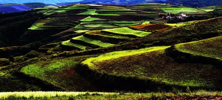 云南红土地景区秋天,这个秋天去云南玩