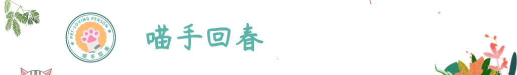 想成为猫医生怎么做,怎么给猫咪剃毛的步骤