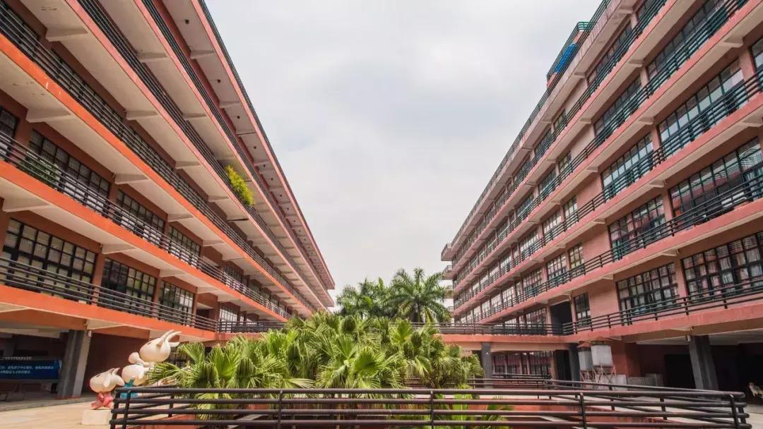 中国美院到底有多厉害,美院出来的学生都很厉害吗