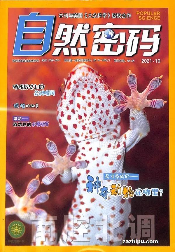 如何订阅高端杂志,杂志在哪里订阅最好