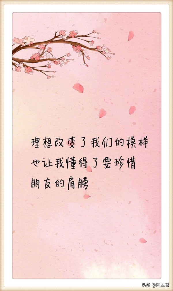 情感语录最美100句,美到骨子里的情感语录