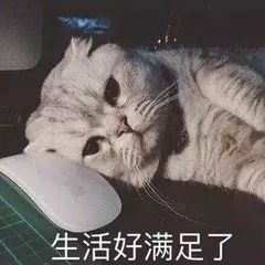 舒服到睡觉都舍不得脱，这件kissy如吻内衣你一定要加入购物车！