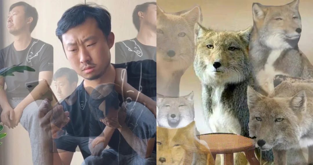 无穷小亮出圈，抖音科普创作者爆火有何方*论法**？