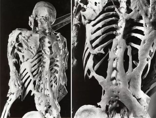 11个奇怪的冷知识，都让你怀疑它们是不是真的