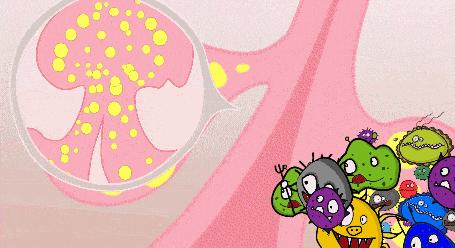 好皮肤怎么样养成的,好脸蛋