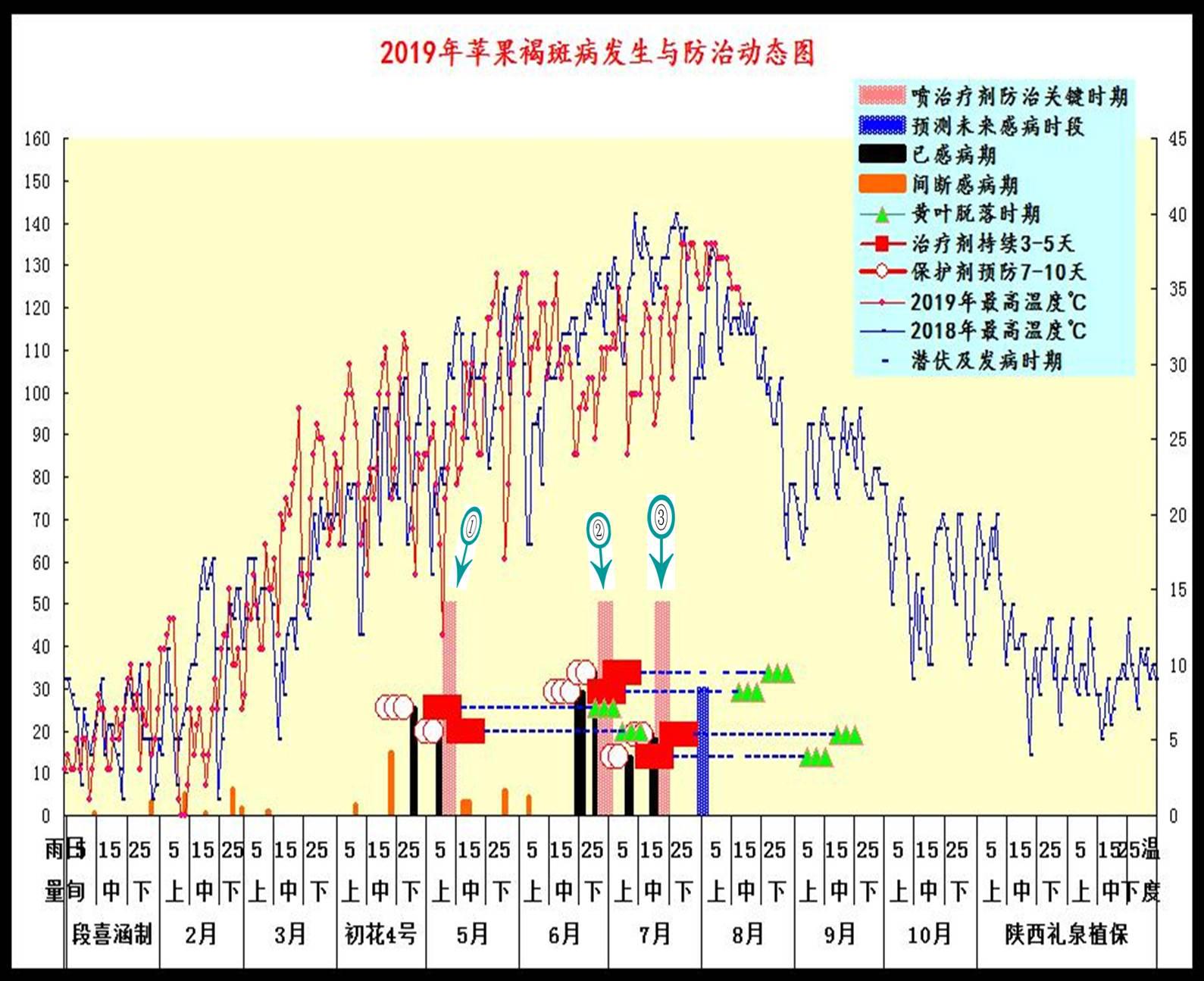 苹果树褐斑病的最佳治疗方法,如何预防和治疗苹果褐斑病