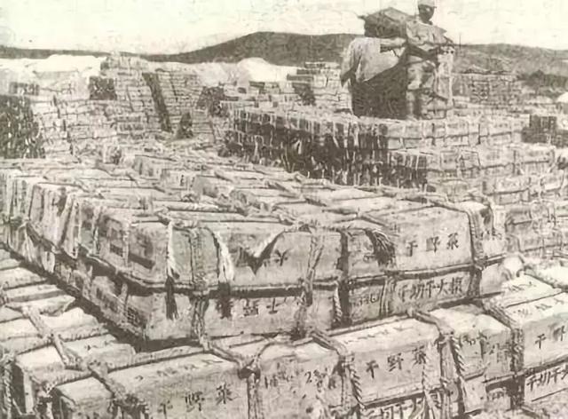 区区一个脚气病，差点灭掉日本*队军**，还改变了日本的国运……