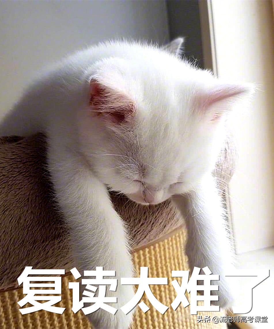 考不上二本读哪些学校,高考考不上还可以在本校复读吗