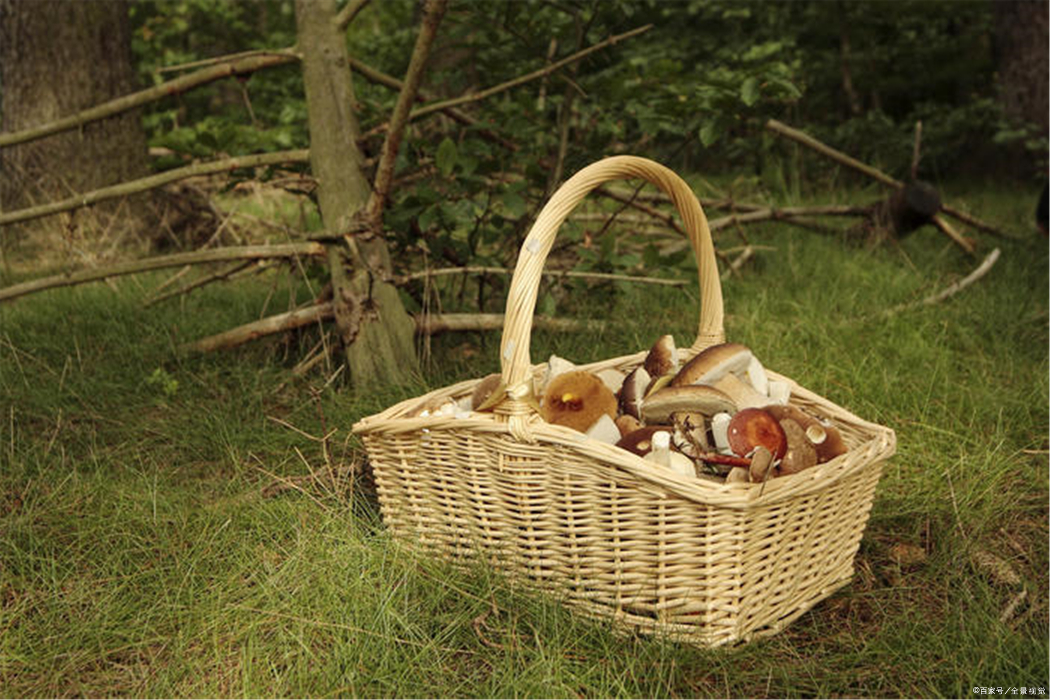 高中英语形容词的语法大全,高考英语语法形容词与副词的复习