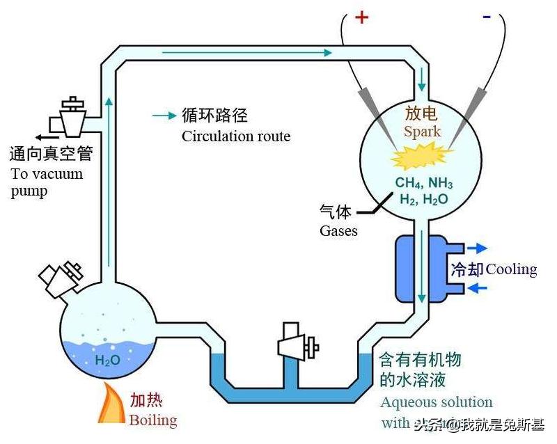 生命从哪里来？宇宙产生生命概率是几乎不可能，但是生命就在这里