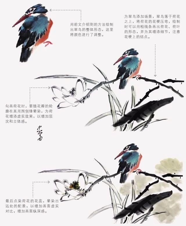 国画怎么把鸟画的活灵活现,如何画鸟要好看