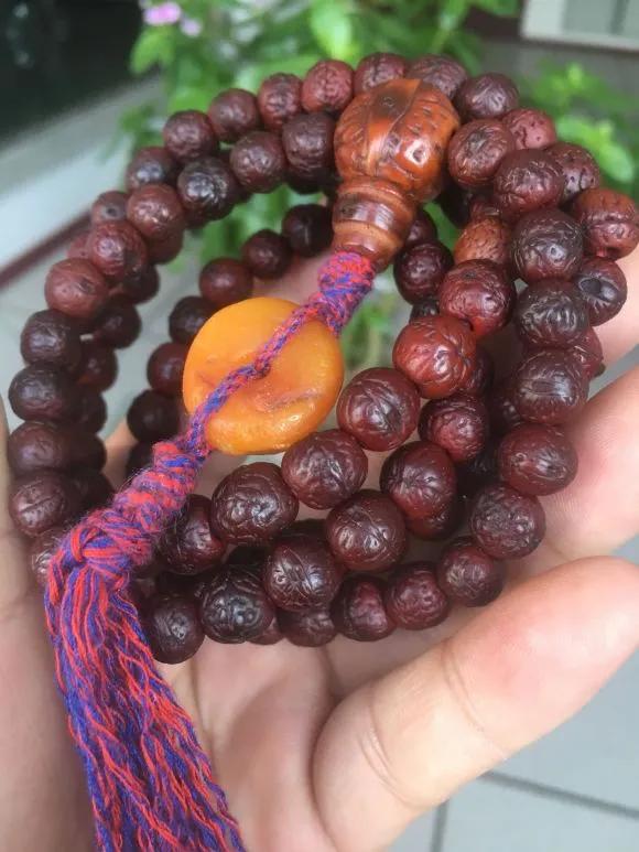 凤眼菩提不带三通,凤眼菩提三通用什么好