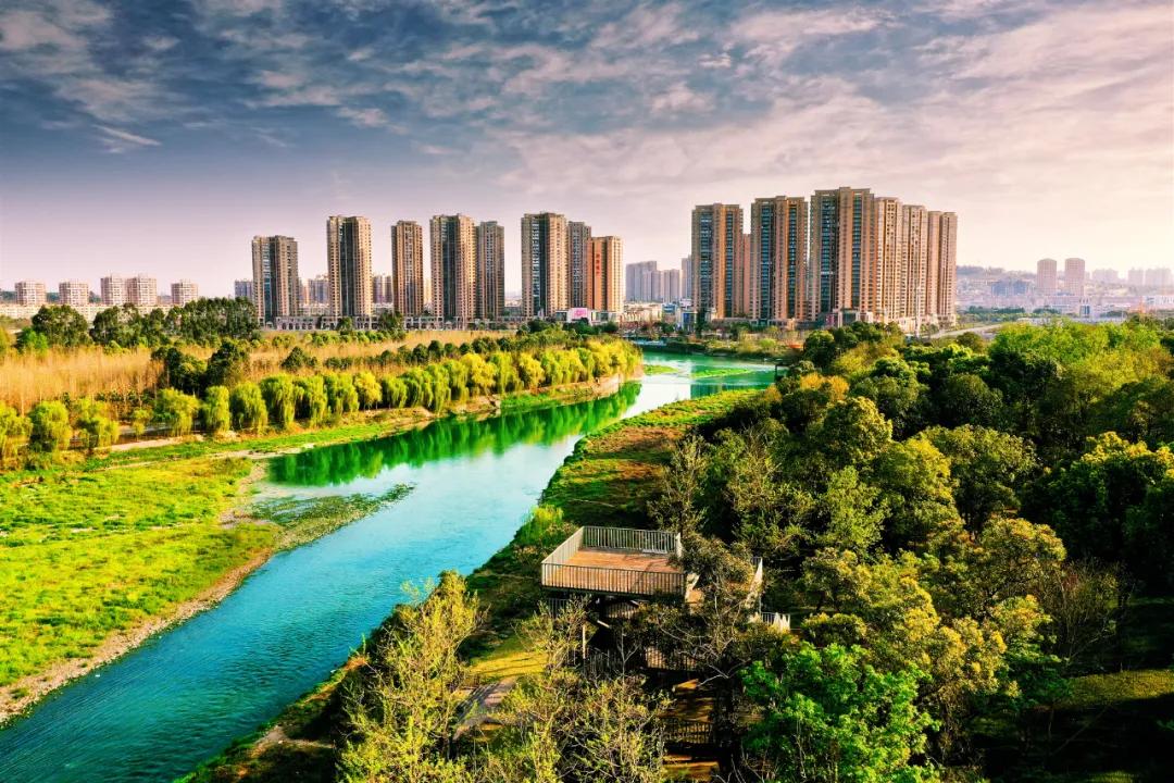 鏍戝眿鍚冪悆,鏍戝眿鐏攨