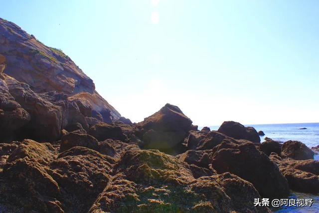 庄河黑岛名人,庄河黑岛沈屯