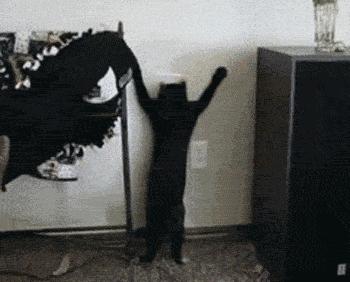 文化不被传承的影响,文化没得到传承的原因