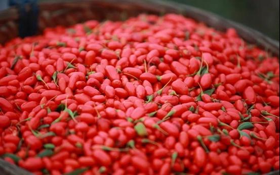 宁夏头茬红枸杞,宁夏头茬枸杞原浆官方旗舰店