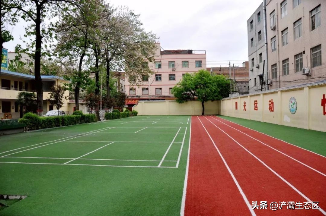 家门口的好学校（十一）：陕西师范大学绿地浐灞小学“名校+”教育联合体