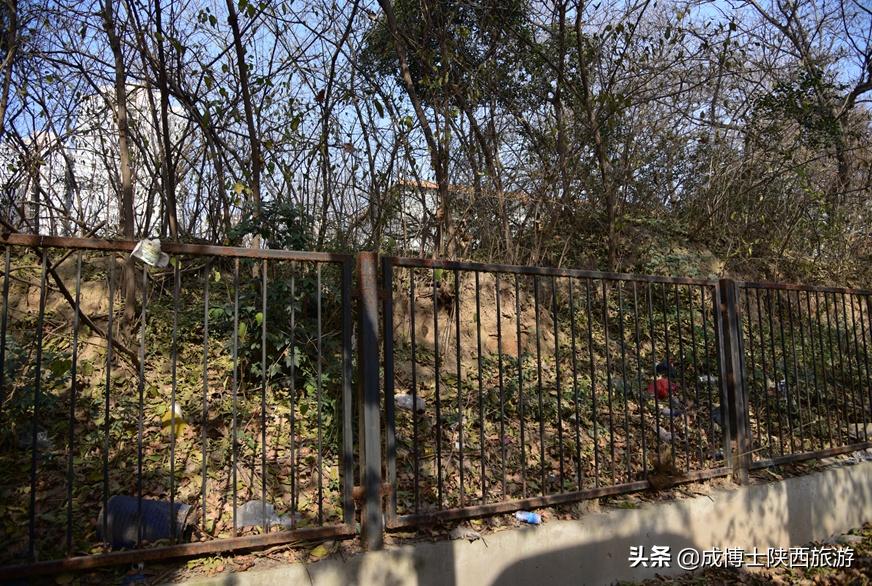 隋唐皇宫遗址,唐朝的兴庆宫大明宫太极宫