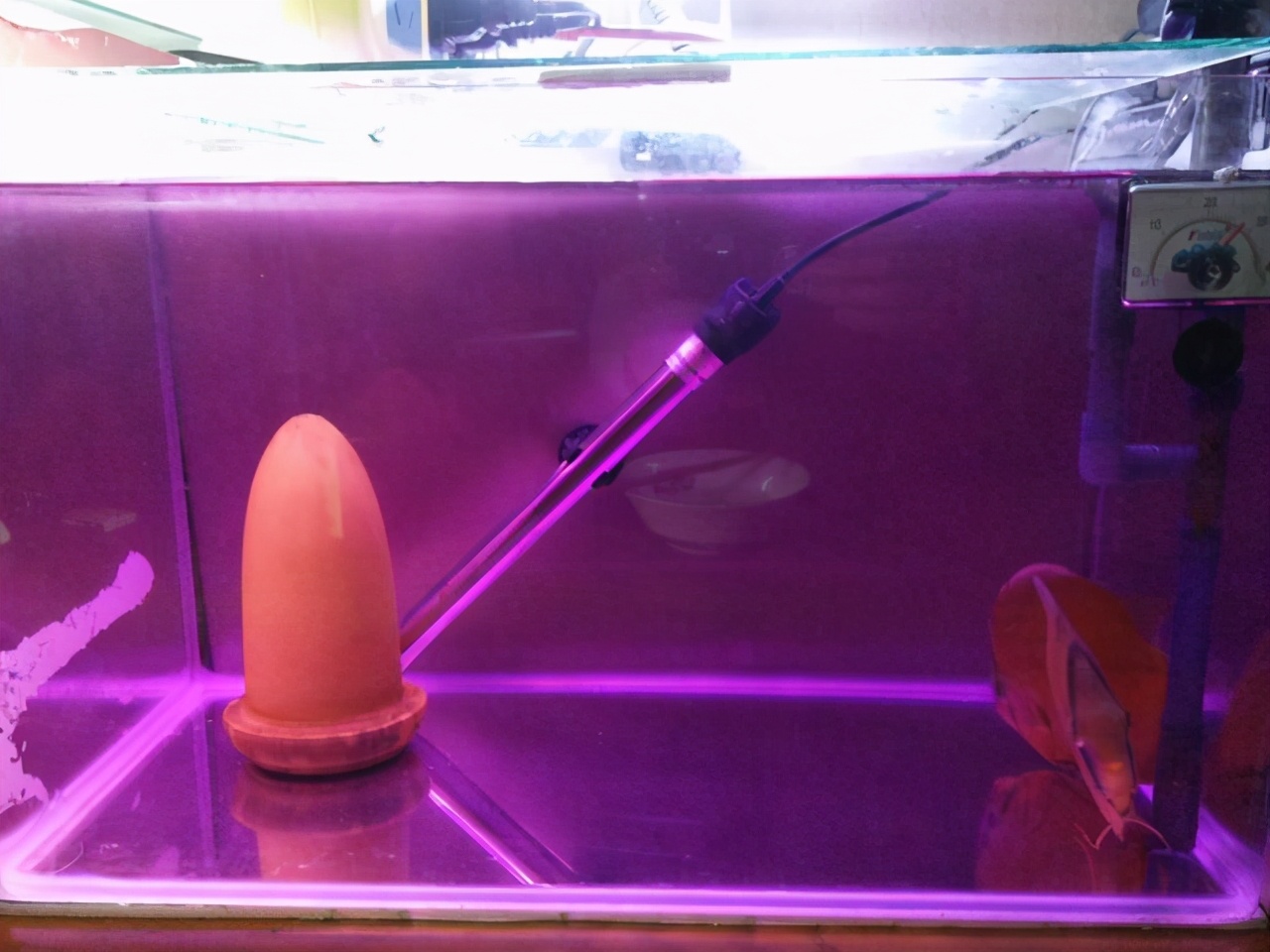 滤材需要用高锰酸钾消毒,高锰酸钾消毒后的滤材还可以用吗