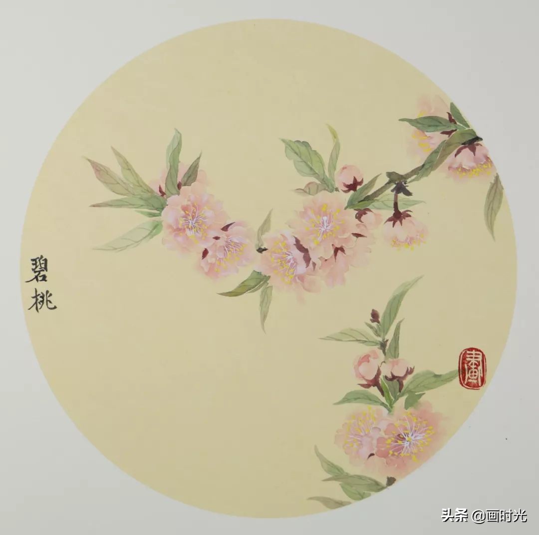 国画教程花卉入门,国画教程入门基础花草画
