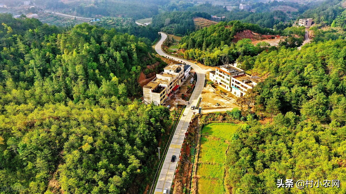 农村养殖致富小创业项目有哪些,2022年农业种植养殖政府扶持项目