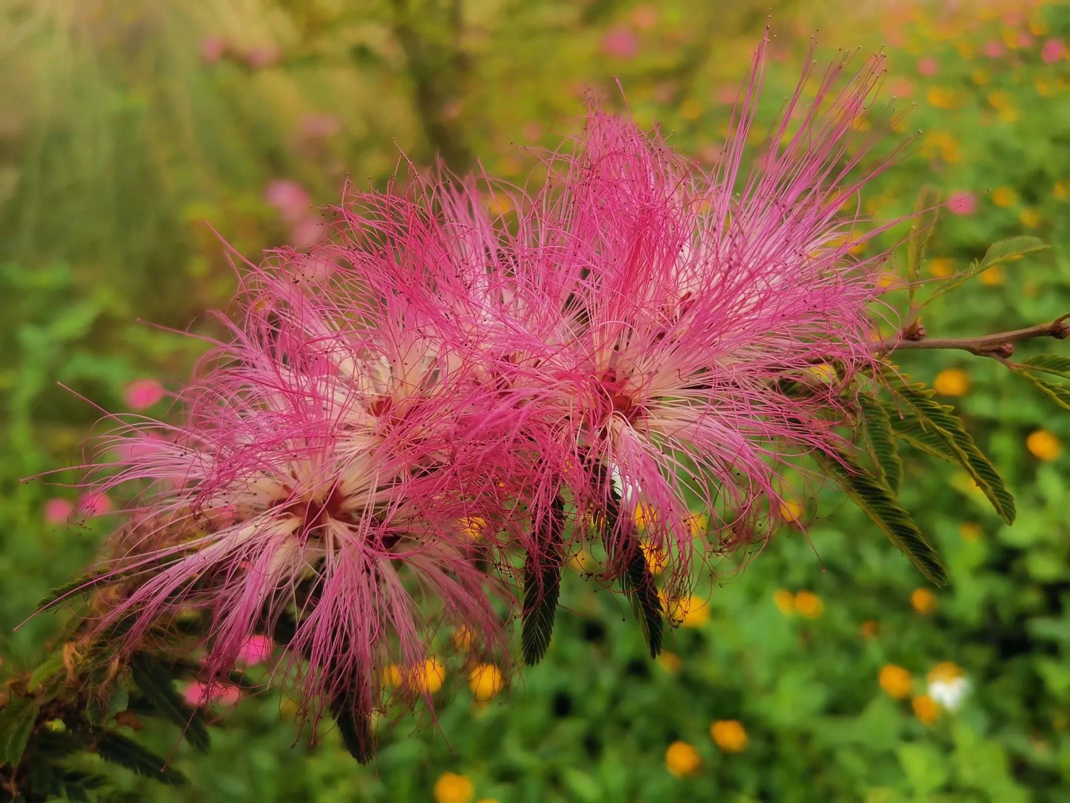记忆模糊的三年,记忆回到三年前