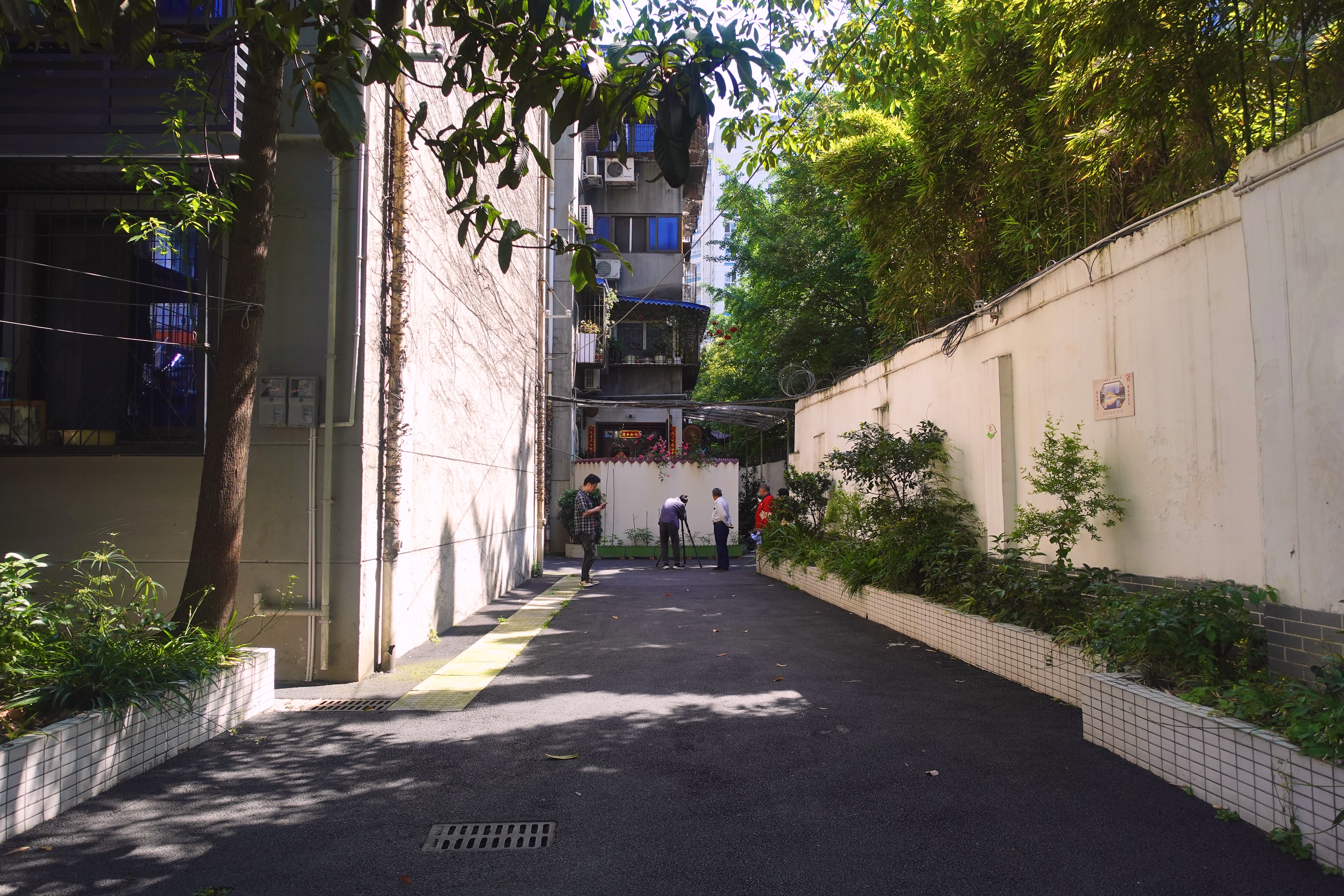 2021幸福感城市成都,最幸福感城市排名成都第一