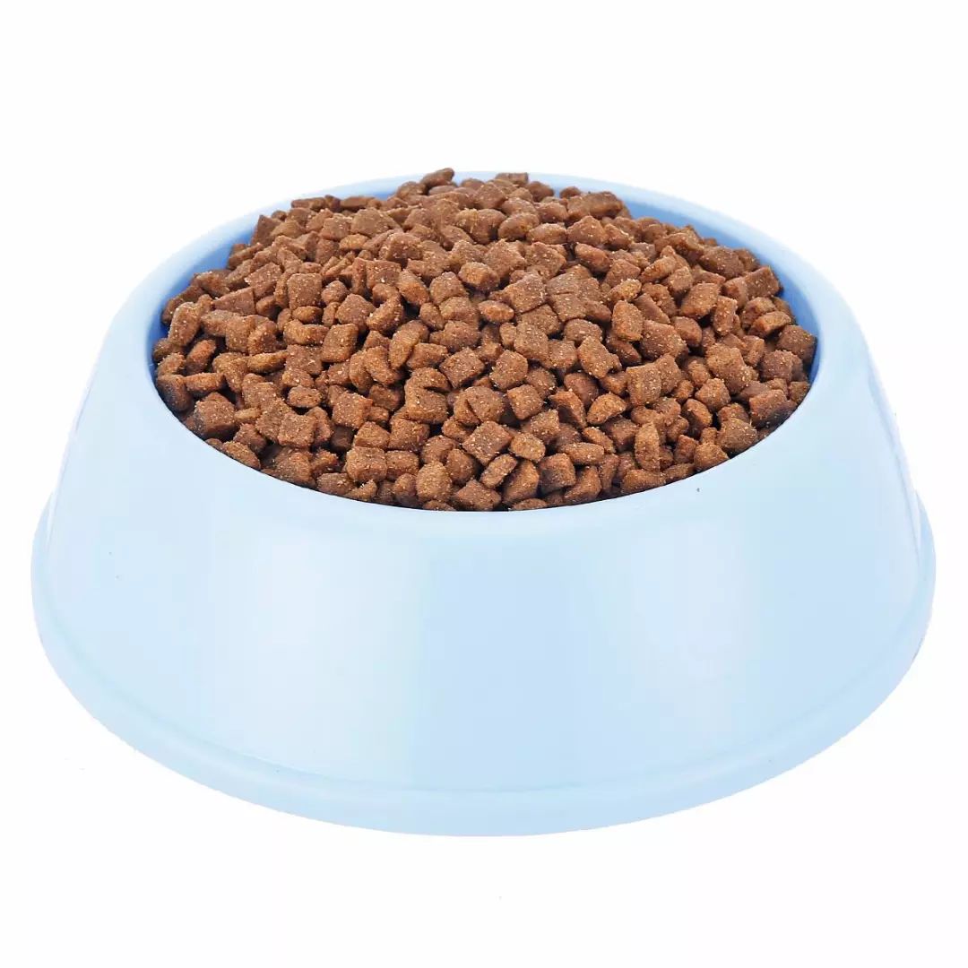 关于EGC身为铲屎官的你知多少？各种皮肤病都可能是EGC！