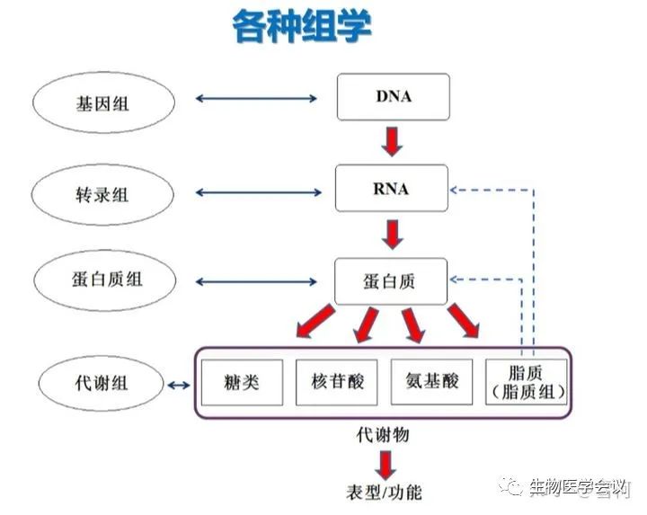 生物信息学入门什么书好,从生物信息学角度解读