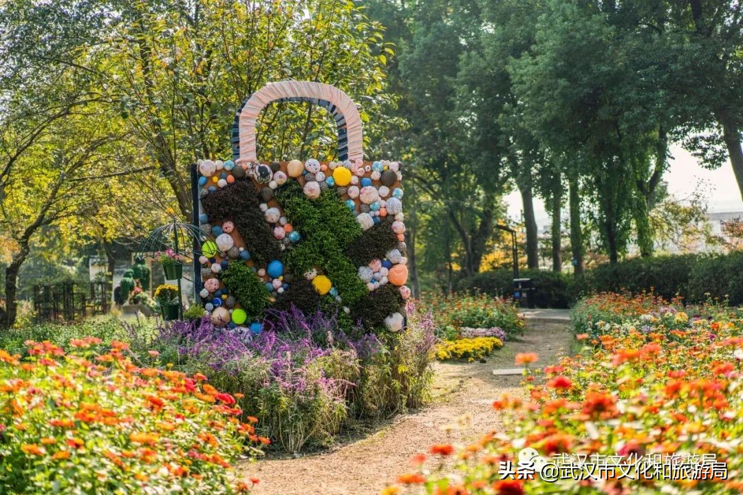 花点时间武汉东湖樱花园,武汉花点时间