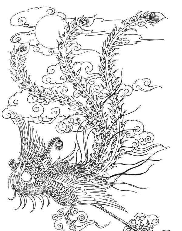怎样画一个凤凰,怎么画个凤凰