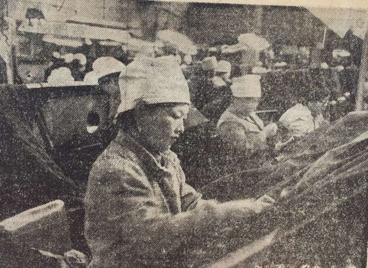 歌曲那年那月那一天舞台,歌曲那年那月那一天字幕完整版