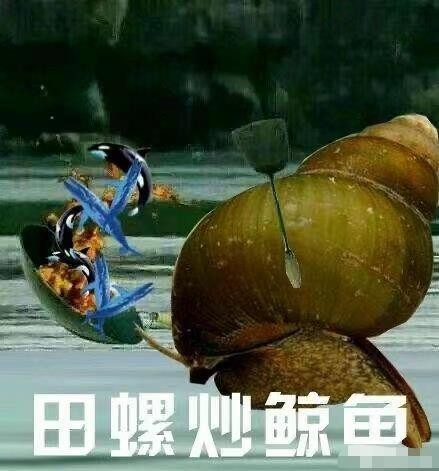 剑网三剑气内战,剑网3剑气组合怎么样