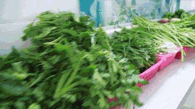 美国人如何降血脂,美国降血脂偏方