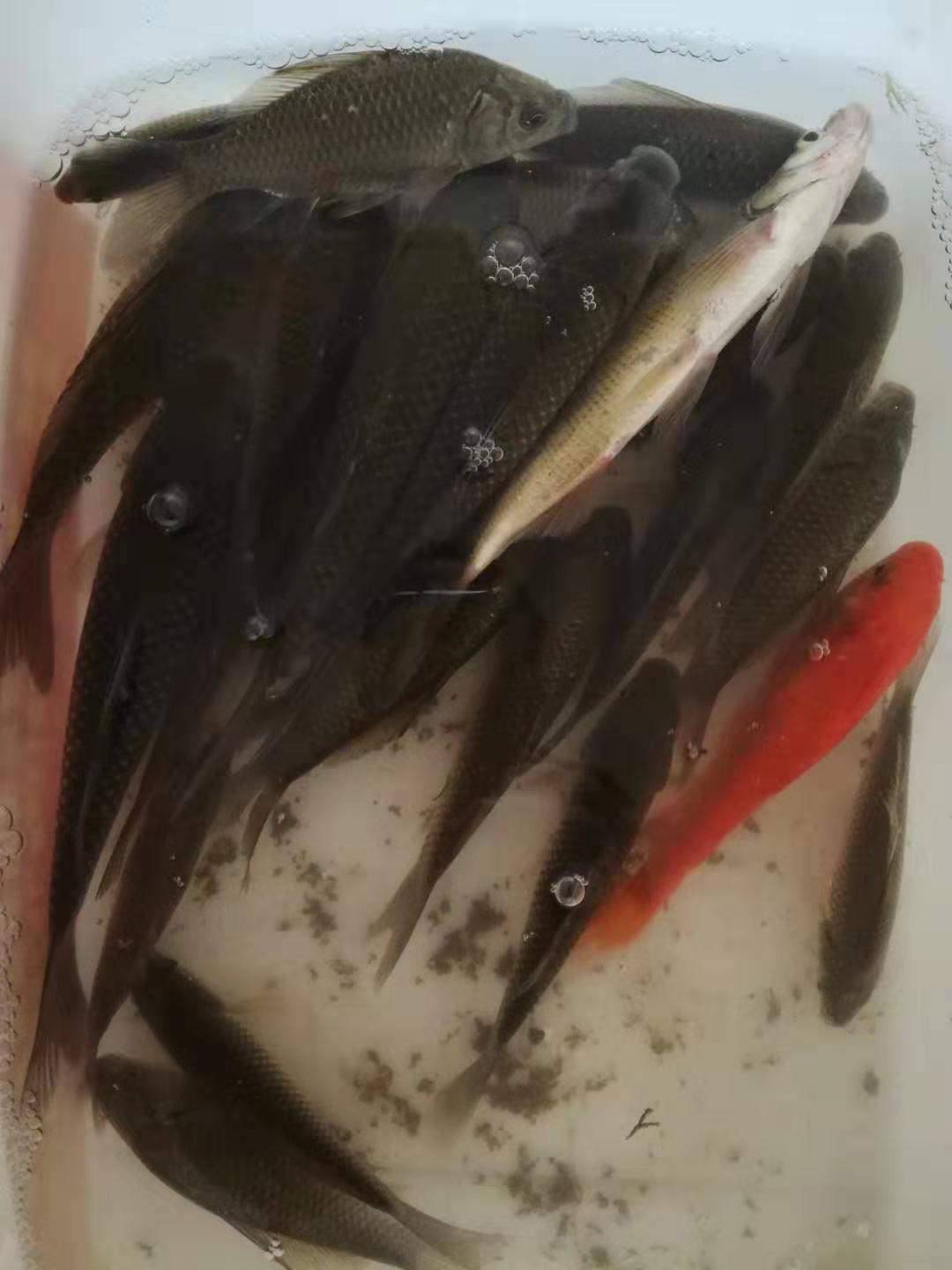 线组的正确组合和影响,线组怎么选择大小