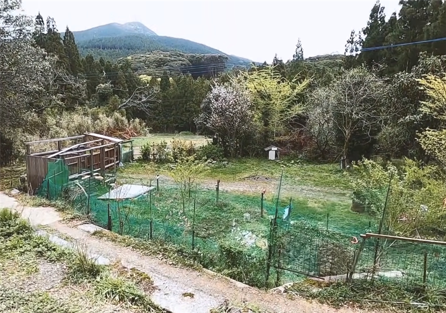 日本男子买江户时代深山老宅，带妻女住进89㎡的家，过起田园生活