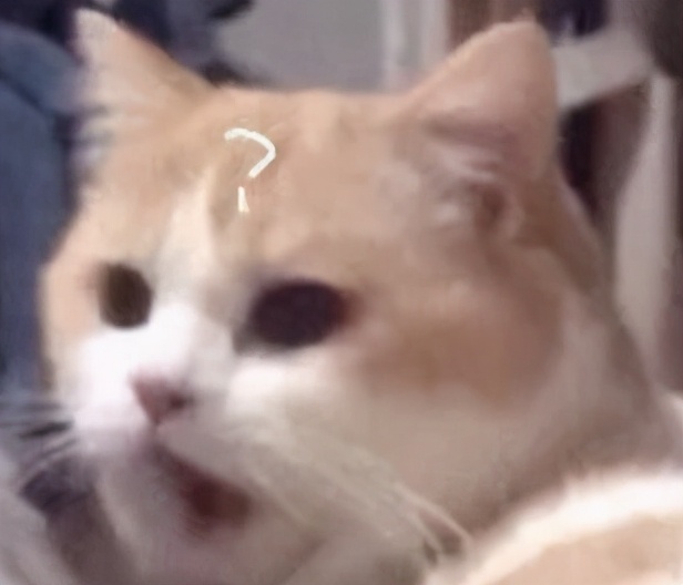 卖气球有多暴利,卖气球有没有不赚钱的