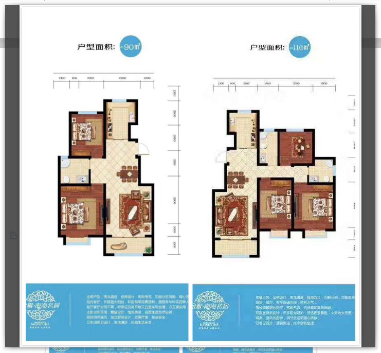 南海新区具有什么特点,南海新区详细介绍