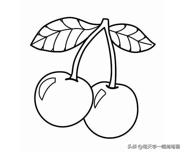 超简单水果简笔画初学者零基础,秋天成熟的水果有哪些简笔画