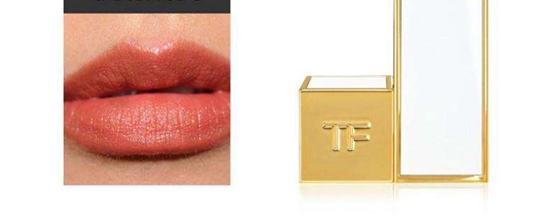 汤姆福特暗系口红 (汤姆福特白管新款口红哪个好看)