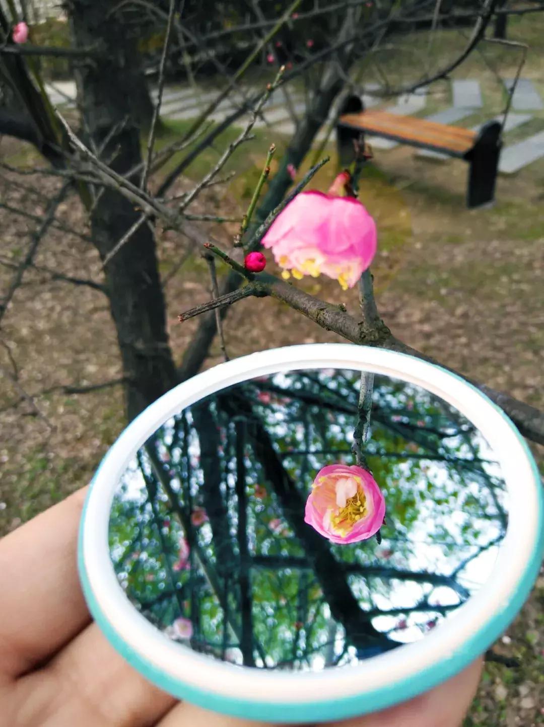 镜中的武工院，是最美？妙不可言？