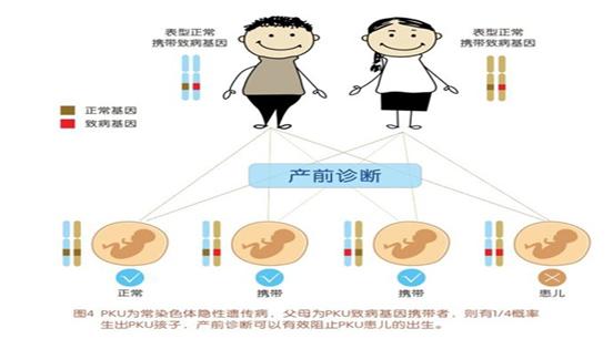 不食烟火的孩子,不食人间烟火小孩