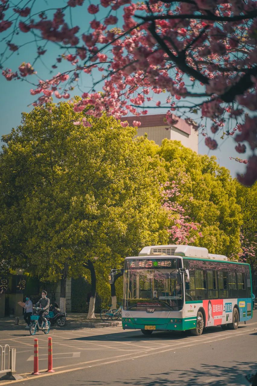 被大理丽江掩盖风头又怎样？它才是云南No.1！5月它太美了