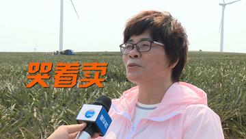 菠萝菠萝菠萝菠萝菠萝菠萝的海！