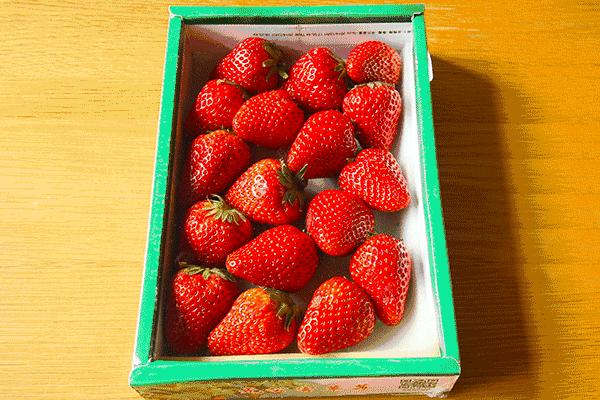 「丽皙白美肤」收下这份黑头作战攻略，让你摆脱尴尬草莓鼻！