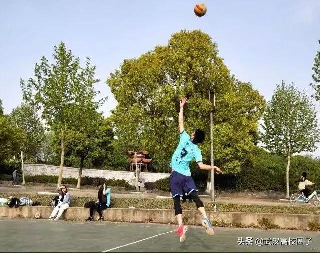 湖北中医药大学，是湖北省唯一一所高等中医药本科院校