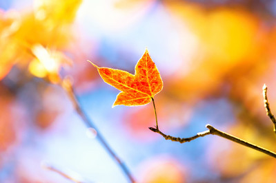 中国最美的十首诗,堪称最美的十首诗