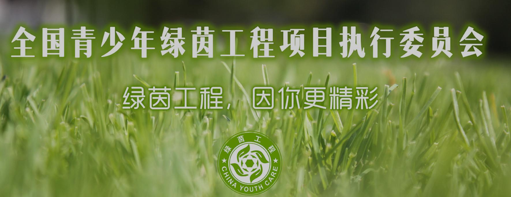 绿茵足球联赛落户,绿茵青少年足球邀请赛